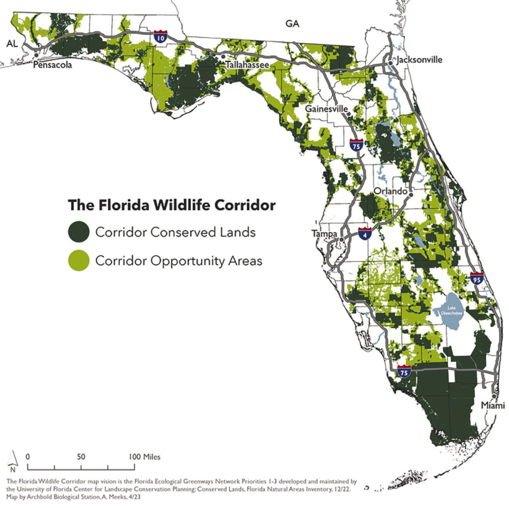 Foundation safeguards species, habitats - The Naples Press